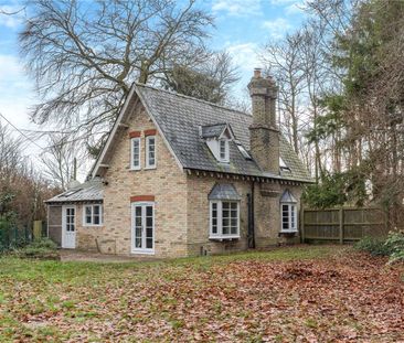 Cosy cottage situated in the popular village of Thriplow - Photo 5