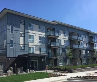 PARALLEL TWO APTS - 403 - P2-403 - Photo 4