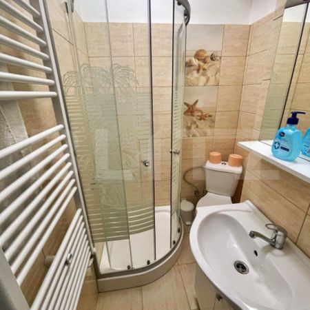 Garsoniera moderna, 33 mp, Petfrendly, zona Brazda lui Novac - Fotografie 4