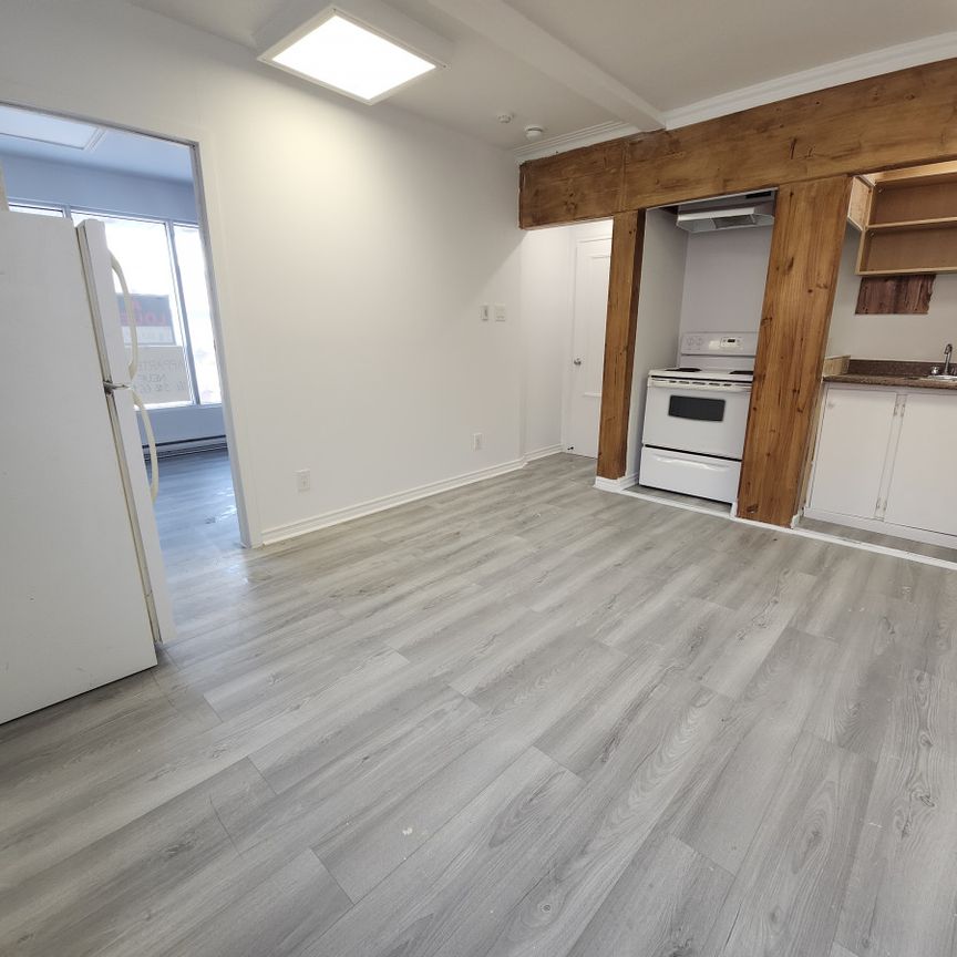 10580 Boulevard Saint-Laurent, #206 - Photo 1