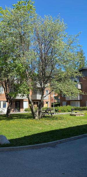 Grundläggargränd 36, Östersund - Foto 1