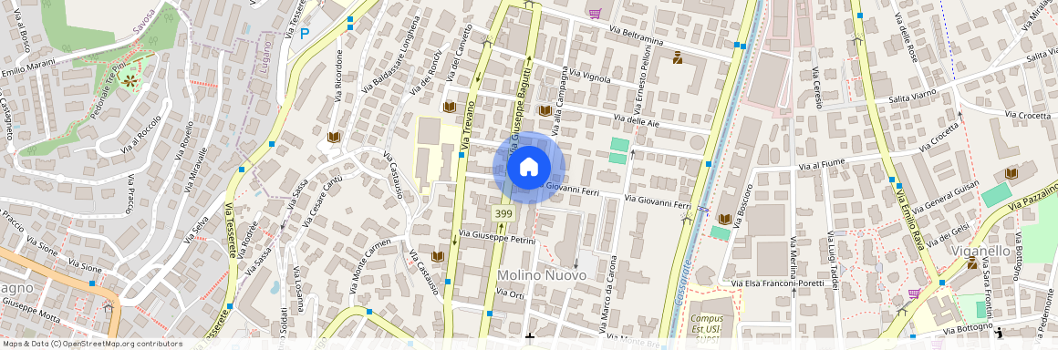 via Giovanni Ferri 15, 6900 Lugano