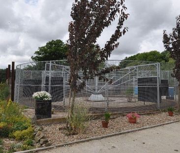 2 bedroom cottage to rent - Photo 3