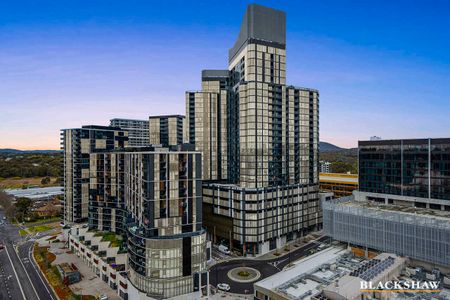 "HIGH SOCIETY" - Photo 5