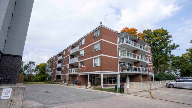 One Bedroom Apartment - Photo 1
