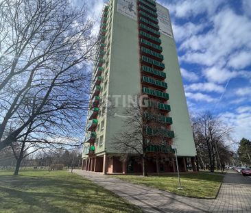 Byt 1+1 k pronájmu, Ostrava / Mariánské Hory, ulice Gen. Hrušky - Fotografie 3