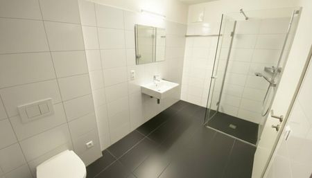 Ihr Wohntraum in Lustenau – Moderne 2,5-Zimmerwohnung mit großzügiger Terrasse zu vermieten! - Photo 3