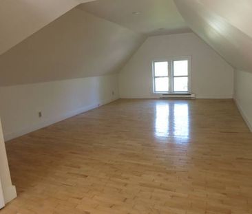 Spacious and Sunny 3.5 Bedroom Duplex - Photo 2