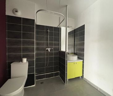 Location Appartement 1 pièce 22m² CASTELNAU LE LEZ 34170 - Photo 4