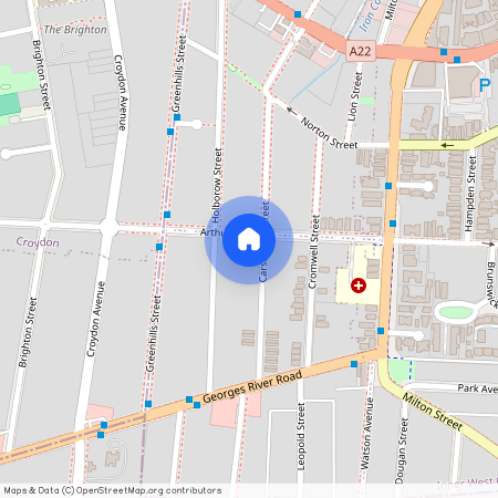 49a Carshalton Street, Croydon Park 2133, New South Wales