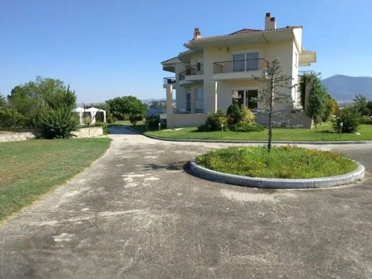 Διαμέρισμα για ενοικίαση Αγία Παρασκευή (Βασιλικά) - Photo 1