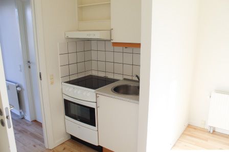 1½-værelses studiebolig (med terrasse eller altan) - Photo 4