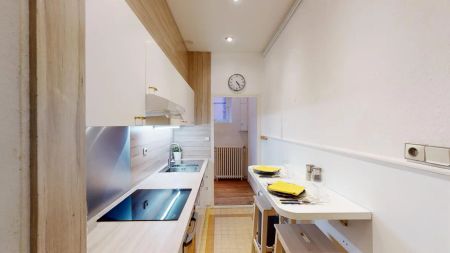 13 rue Peyras 13, Toulouse - Photo 2