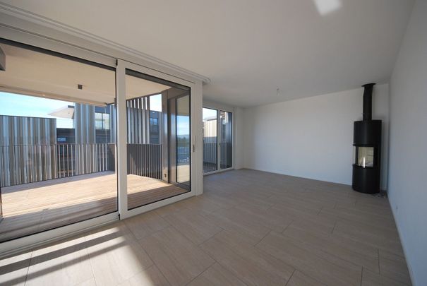 Moderne 5.5-Zimmerwohnung im Erdgeschoss in ruhigem Quartier - Photo 1