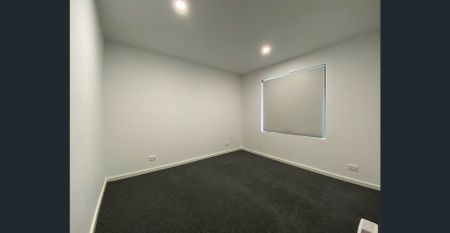 ABUNDANCE OF NATURAL LIGHT - Photo 4