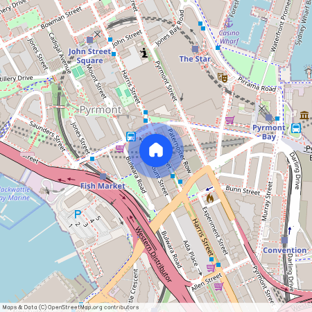 163 Harris St, Pyrmont, Sydney, New South Wales 2009