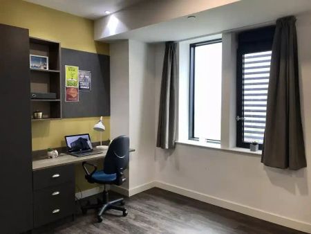 Deluxe Studio - Photo 4