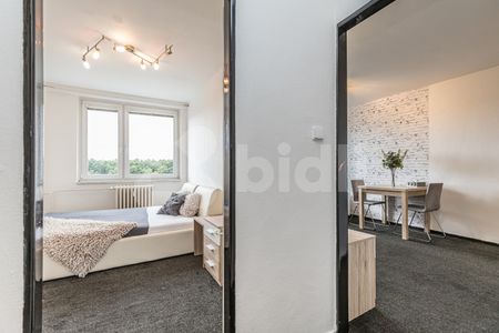 Vybavený byt 2kk, 43,5 m - Fotografie 3