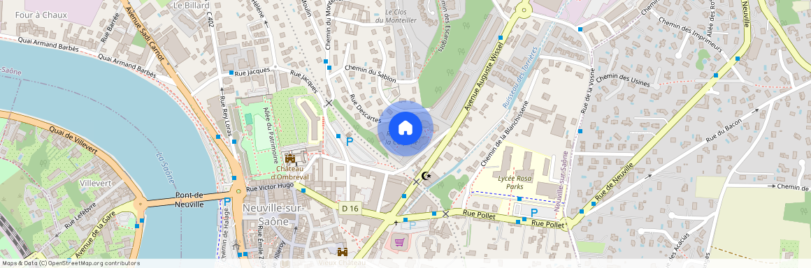 69250, Neuville-Sur-Saône