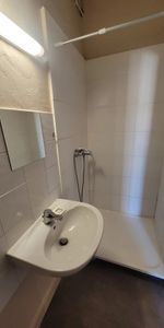 Location Appartement 1 pièce 30m² PERTUIS 84120 - Photo 4