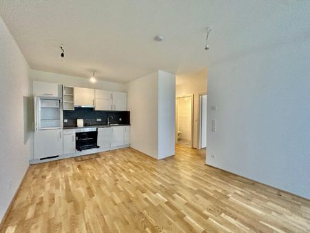2 Zimmer Wohnung mit 19m² Terrasse mit Blick in den Innenhof - Foto 4