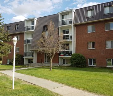 APT 12-51 ROBINSON - Photo 1