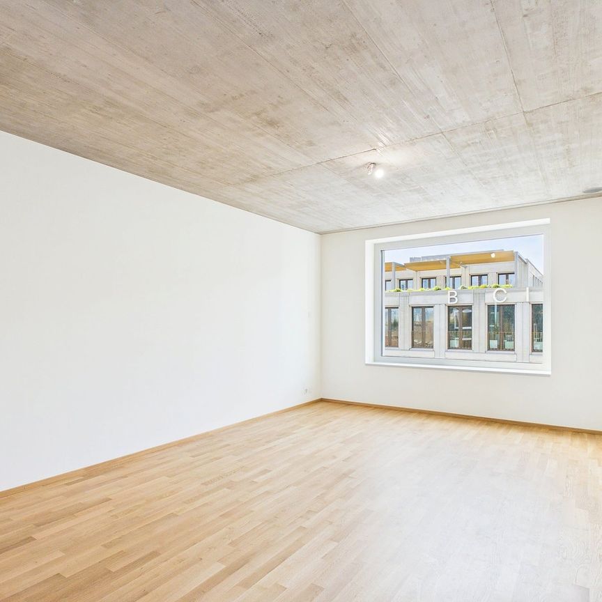 Erstbezug im modernen Neubau - hochwertiges Wohnen mitten in Basel - Photo 1
