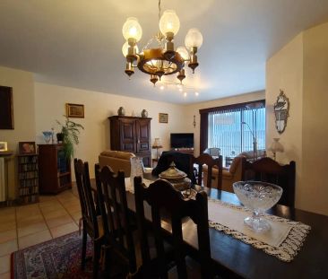 Ruim appartement met terras te Lokeren - Foto 1