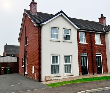 30 Beaumont Avenue, Portadown, BT63 5ZQ - Photo 6