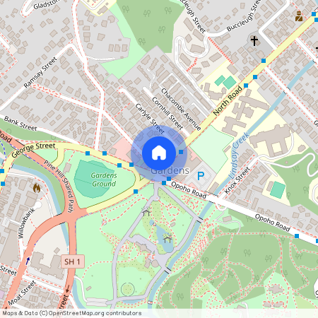 7 North Road, North East Valley, Dunedin City