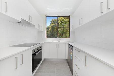 Spacious Resort-Like Apartment - Photo 2