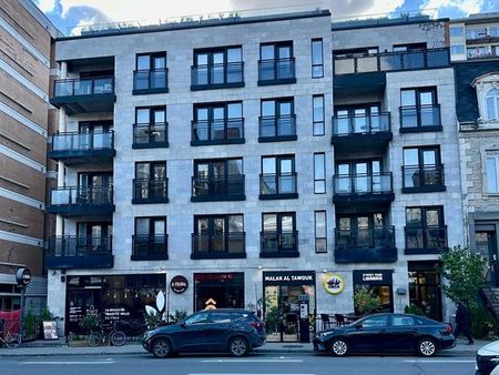 3456 Av. du Parc - Photo 5