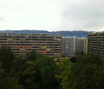 Appartement de 3,5 pièces aux Petit-Saconnex. - Photo 2