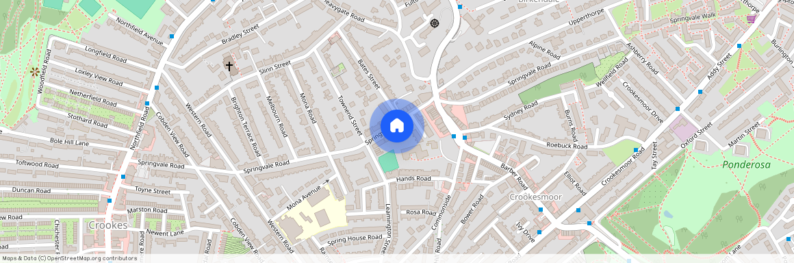 227 Springvale Road, Crookesmoor