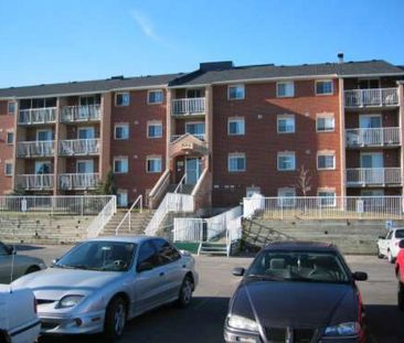 105-566 Armstrong Road - Lower Level 2 Bedroom - Photo 4