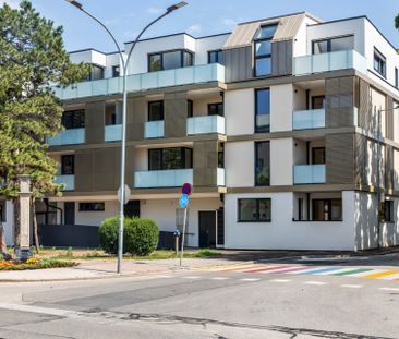 Der Felmayerpark | 3 Zimmer-Wohnung | 5m² Balkon | Innenhoflage | v... - Photo 5