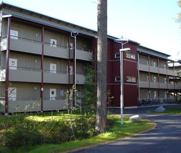 Tvistevägen, Umeå - Photo 4