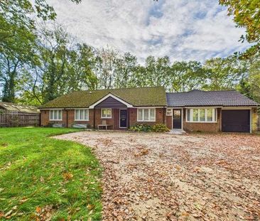 Heathrow Copse, Baughurst, RG26 - Photo 3