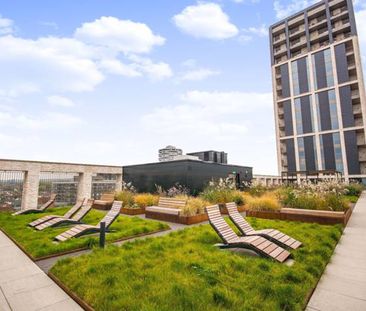 1 Caithness Walk - Photo 4