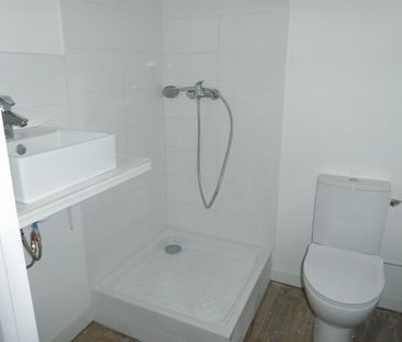 Location Appartement 1 pièce 15m² FONTAINEBLEAU 77300 - Photo 3