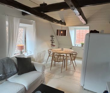 Stora Fiskaregatan, Lund - Photo 2