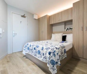 1 Bedroom, 1 Bathroom - Photo 5