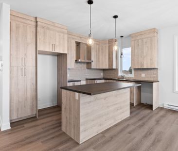 135 Rue Michel-Choinière, Salaberry-De-Valleyfield - Photo 5