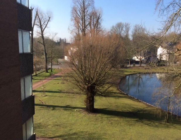 Demnächst frei! 2-Zimmer-Wohnung in Mönchengladbach Odenkirchen - Photo 1