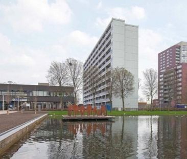 Plein 1953 0ong, 3086 Rotterdam, Nederland - Foto 1