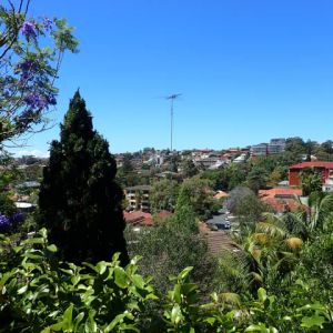 233 Alison Road,Randwick,New South Wales 2031, Sydney - Photo 2