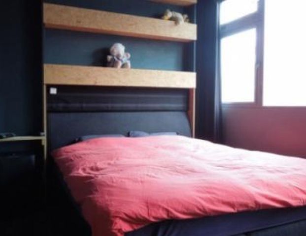 Van Vollenhovenlaan 3527 JR Utrecht - Foto 1