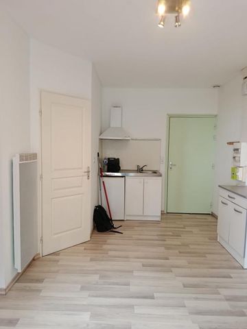 Location Appartement 1 pièce Meublé 20m² RISCLE 32400 - Photo 3