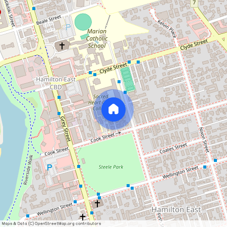 33 Cook Street, 3216, Hamilton East