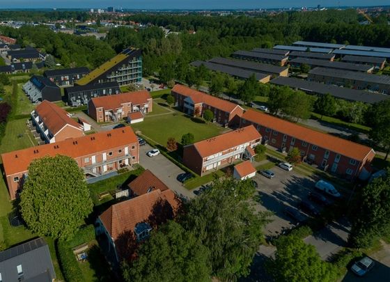 Dejlig 2-værelses lejlighed i Odense S - Photo 1